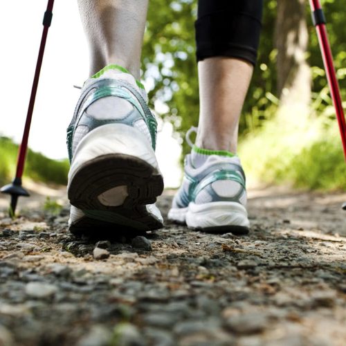 Woman walking cross country and trail in spring forest