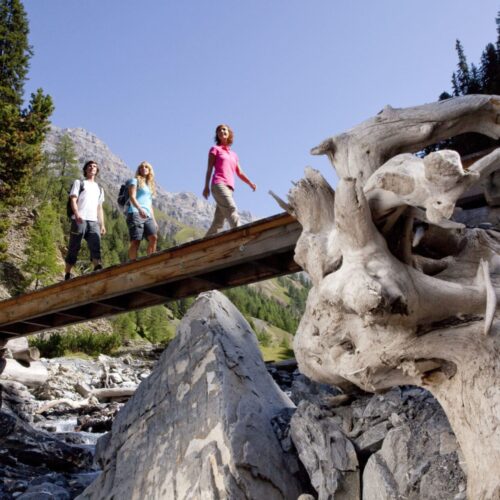 ENGADIN St. Moritz - Gruppe am Wandern im Val Trupchun im Schweizer Nationalpark.

Group hiking in the Val Trupchun, Swiss National Park.

Gruppo in passeggiata in Val Trupchun, nel Parco Nazionale Svizzero.

Copyright by ENGADIN St. Moritz By-line:swiss-image.ch/Christof Sonderegger